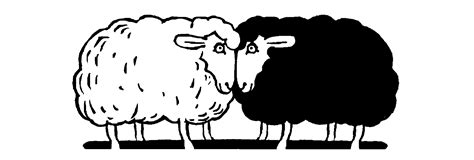 SVP – Undifferenziertes Schwarz/Weiß-Denken