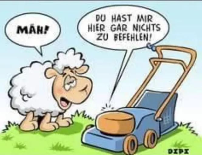 EU-Bürokratitis, ein Beispiel