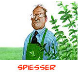Grüne_Spiesser