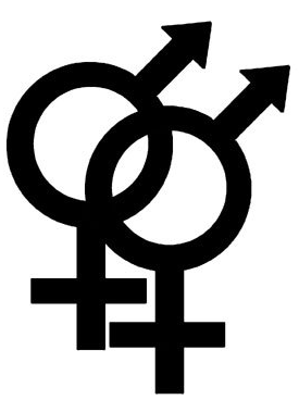 Gender-Mainstreaming