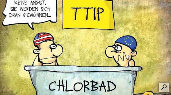 TTIP - Vertrag mit Stolpersteinen