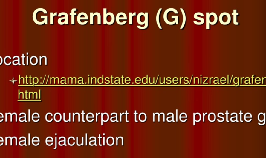 Der G-Punkt der Frau