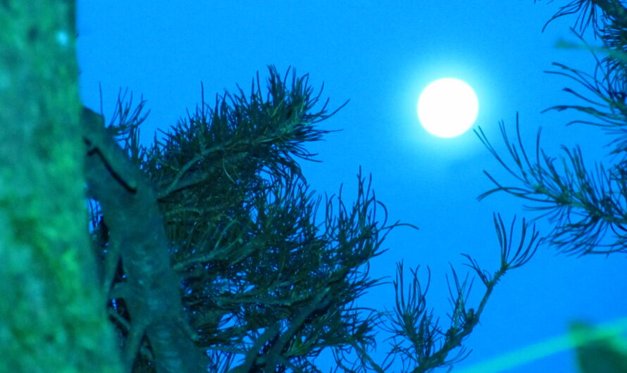Mond wirkt auf die Börse