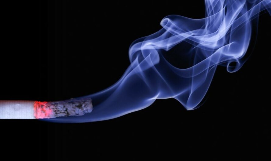 Neuseeland kippt Rauchverbot