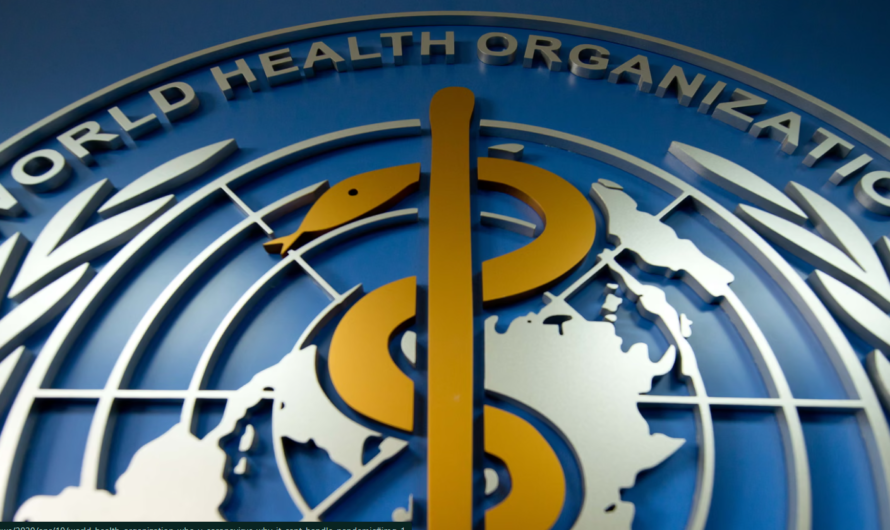 Die erschreckend dunkle Seite der WHO